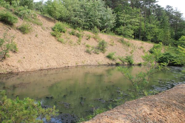 Pond Erosion Repair Service