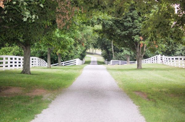 Driveway Graveling Service