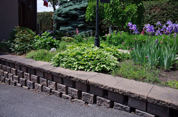 Yard Erosion Repair Service