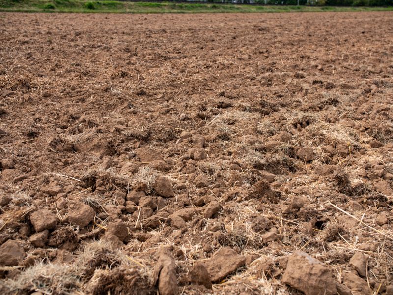 Land Preparation in Dry Season